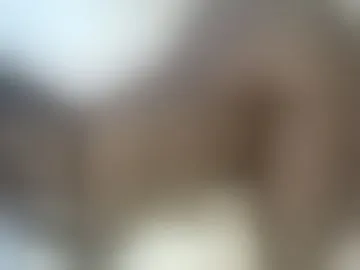 elennie