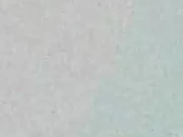 elizabeth_aron