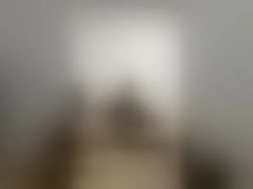 elzarquito