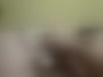 erecthruster