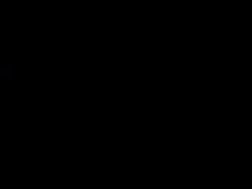 esselx88