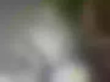 fansdemianmexico