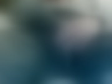 fitbwc06
