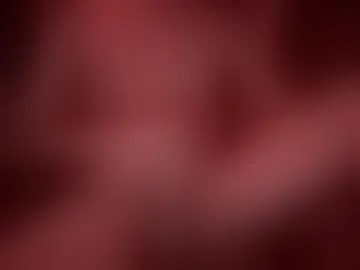 fl4ko3