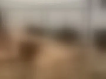 foxxy11211