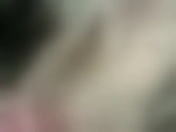 freesade