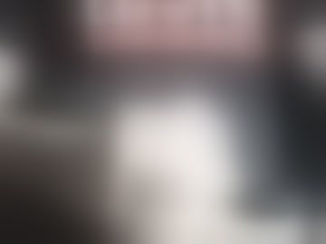 g1231203