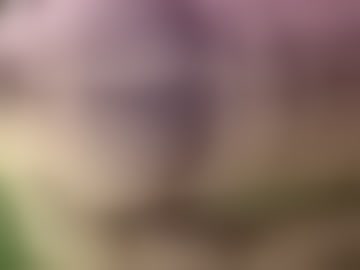 gabbijonson9