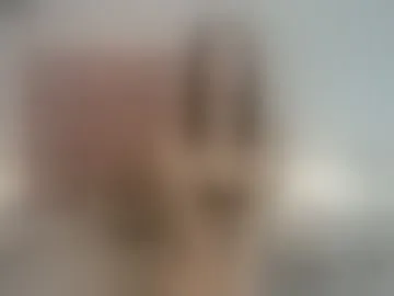 galafiori