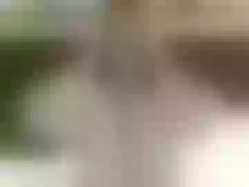 graciecabsauv