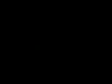 gustavoantris