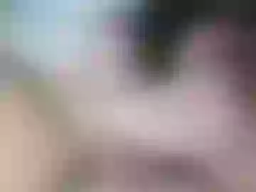 haaansolo