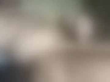 hairybill1500