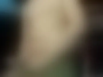 hakhoox