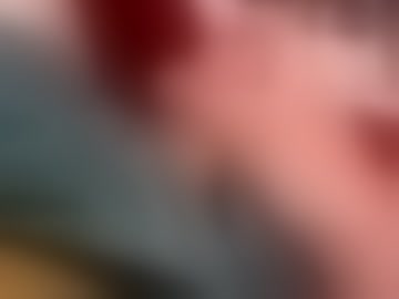 holycannoli123