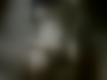 hotromance69xx