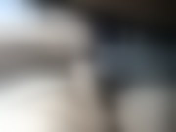 hungbrian81