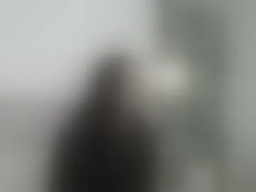 ikonica