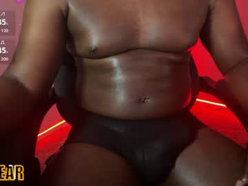 izzybear_