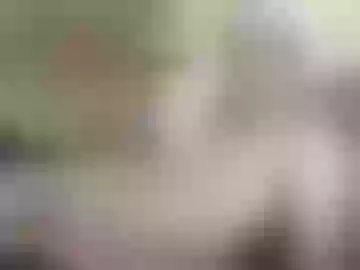 jadincle2