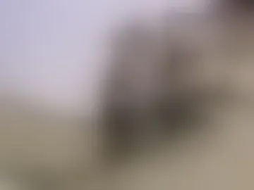 justrawx