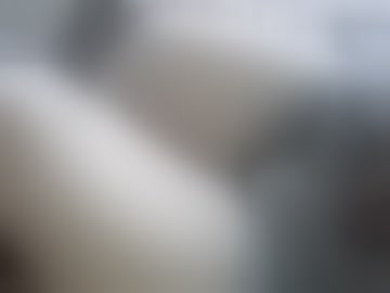 kansascity354937