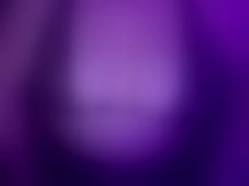 kittycompanion
