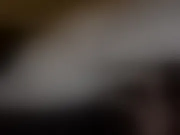 koalaclawmedia
