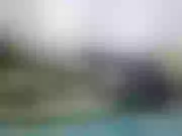 l556778
