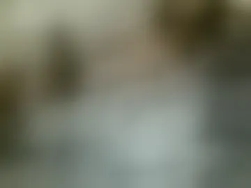 labellanicholexx