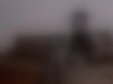 laflur_inkk