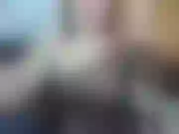 lailamartins