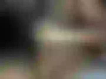 latincock_93