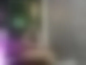 lia_gil18