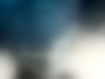 lioninvert
