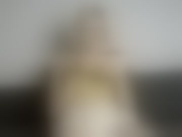 livbellelive