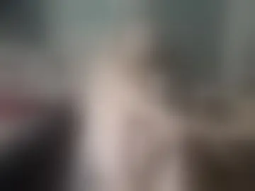 lollygagmiami