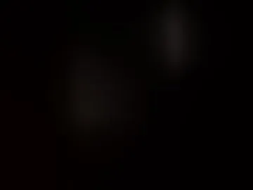 ltsply2