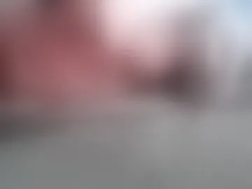 lux_vixen