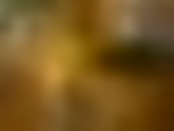 lyonsmausgmail