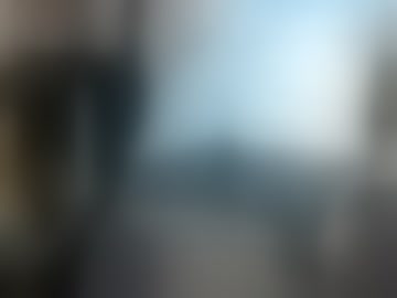 madmonkeyman10