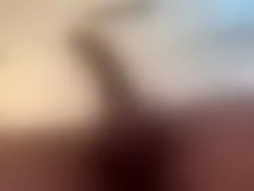 magicmatt230