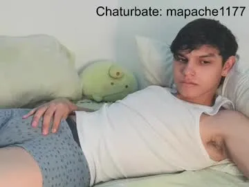 mapache1177
