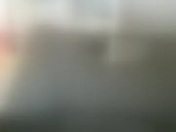 meneerkaas