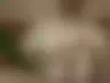 messageme11