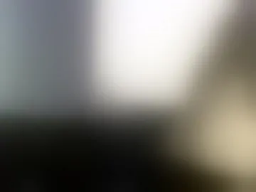 mexicancock27