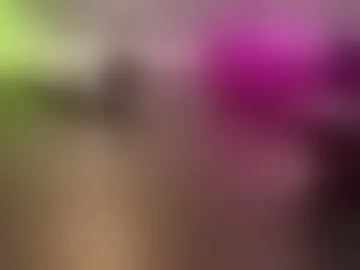 mia_petite_cn