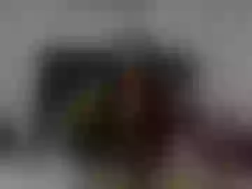 miaytayla