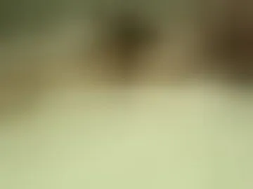 mikemike292929
