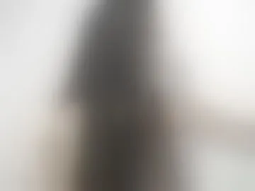 mila_foxy_